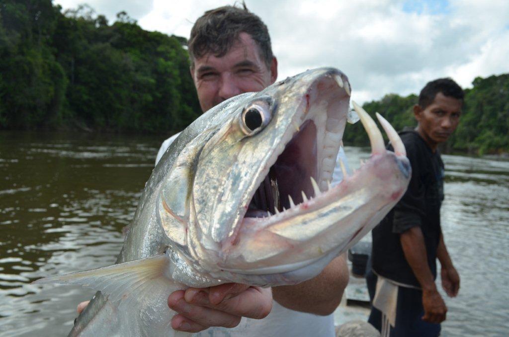 amazing fish - dracula-fish.jpg